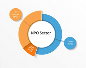 Terrorist-financing Risk Assessment of Non-profit Organizations Begins 1